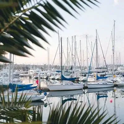 Palm Harbor office